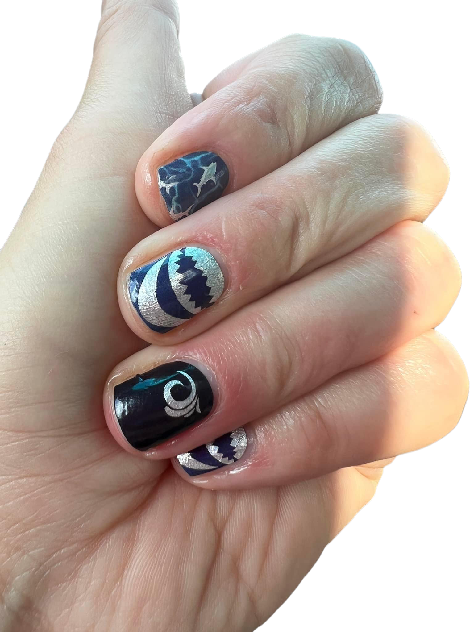 Custom - Shark Week
