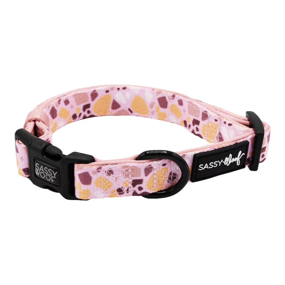 Sassy Woof Cushioned Adjustable Dog Collar
