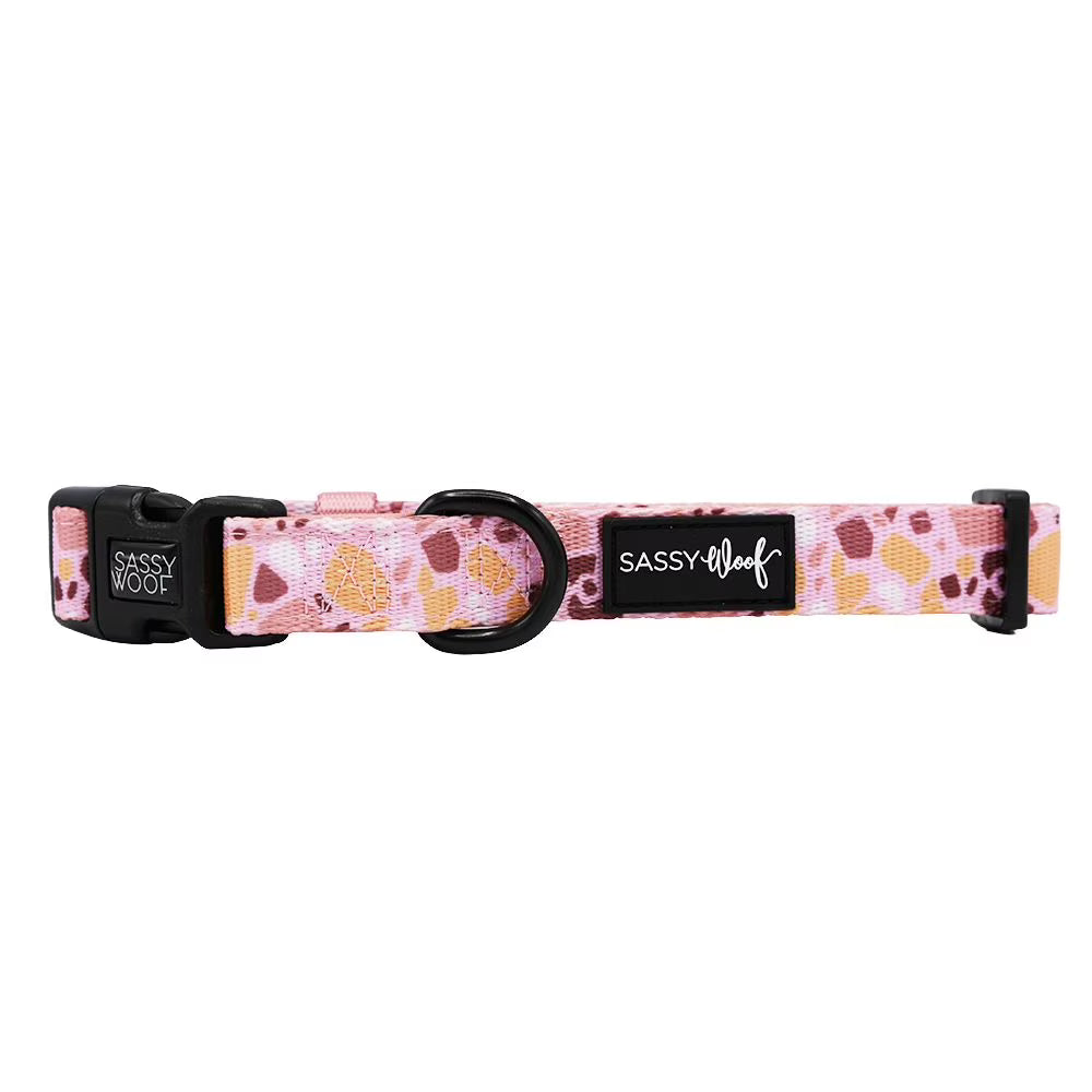 Sassy Woof Cushioned Adjustable Dog Collar