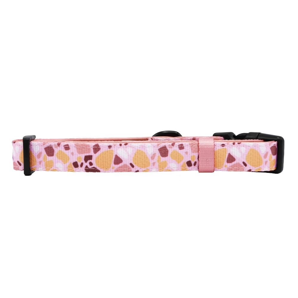 Sassy Woof Cushioned Adjustable Dog Collar